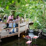 Center Parcs Port Zelande ホリデーパーク アウドルプ