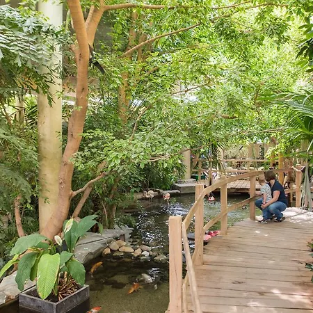 假日公园 Center Parcs Port Zelande 3*