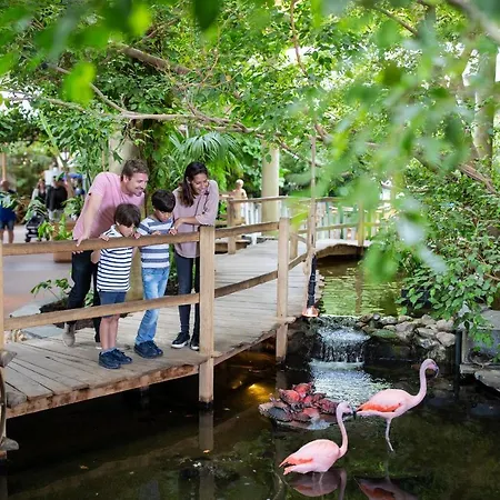 Center Parcs Port Zelande Feriepark Ouddorp