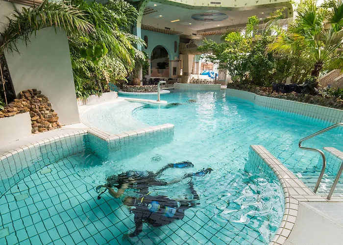 Center Parcs Port Zelande 3* آودورب