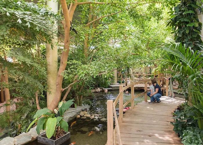 Ferienpark Center Parcs Port Zelande 3*