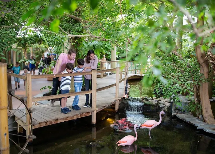 Center Parcs Port Zelande Ferienpark Ouddorp